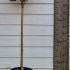 Ligustrum Ovalifolium Standard Topiary Oval Leaved Privet Tree 1.2-1.3 m buy online UK.