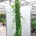 ljhp 2-2.5 m buy online UK.
