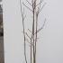 mgd 1.75-2 m buy online UK.