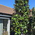 maggran 3.5-4 m buy online UK.