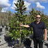 maggran 1.5-1.75 m buy online UK.
