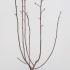 magsoulsuper 1.25-1.5 m buy online UK.