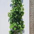 magsunsat 1.75-2 m buy online UK.