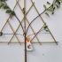 Malus Domestica Discovery Fan Trained 1.4 m buy online UK.