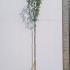 Malus Domestica Yellow Transparent Apple 3.25-3.75 m buy online UK.