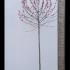 Malus Rudolph - Crab Apple Tree 3-3.5 m buy online UK.
