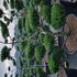 mjj 1.5-1.75 m buy online UK.
