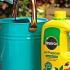 Miracle-Gro All Purpose Concentrated Liquid Plant Food   buy online UK.