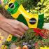 Miracle-Gro Liquafeed All-Purpose Plant Food Starter Kit   buy online UK.