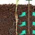 MoonCity Combination PH and Moisture Meter   buy online UK.