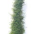 mc 1-1.25 m buy online UK.