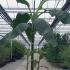 mb 2.5-3 m buy online UK.