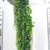parthen 2-2.5 m buy online UK.