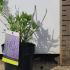 Perovskia Blue Spire Russian Sage 20-30 cm buy online UK.