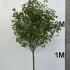 photfull 2-2.25 m buy online UK.