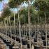 photfull 3-3.5 m buy online UK.
