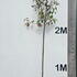photfull 3-3.5 m buy online UK.