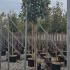 photfull 3-3.5 m buy online UK.