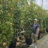 phot 2.5-3 m buy online UK.
