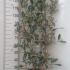 pfpm 1.2-1.3 m buy online UK.
