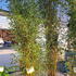 pass 2-2.5 m buy online UK.