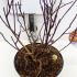 Physocarpus Opulifolius Diable Dor Ninebark 30-40 cm buy online UK.