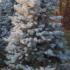 ppbd 3-3.5 m buy online UK.