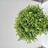 ptgb 60-70 cm buy online UK.
