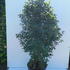 ptil 1.5-1.75 m buy online UK.