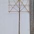 Pleached Tilia Cordata or Pleached Small Leaved Lime 3.2 m buy online UK.