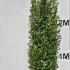 prunusl 2.5-3 m buy online UK.