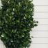 prunlauroetna 1-1.25 m buy online UK.