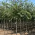 psk 2.5-3 m buy online UK.