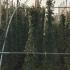 rkar 1.5-1.75 m buy online UK.