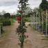 rnd 3-3.5 m buy online UK.