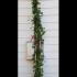 Rosa New Dawn Climbing Rose 2-2.5 m buy online UK.