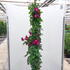 rno 2-2.5 m buy online UK.