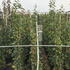 rps 2-2.5 m buy online UK.
