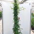rorr 2-2.5 m buy online UK.