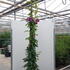 rrib 2-2.5 m buy online UK.
