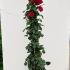 Rosa Santana or Santana Climbing Rose 2-2.5 m buy online UK.