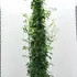 rsp 2-2.5 m buy online UK.