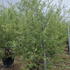 spu 2.5-3 m buy online UK.