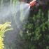 Spear and Jackson Pressure Sprayer 5 Litres   buy online UK.