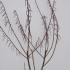 sp 1.25-1.5 m buy online UK.