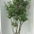 syrvulmichaelbuchner 1.2-1.5 m buy online UK.