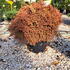 tor 40-50 cm buy online UK.
