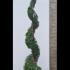 Thuja Smaragd or White Cedar Smaragd Spiral 2.5-2.75 m buy online UK.
