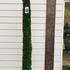 thujasmartuscan 1.75-2 m buy online UK.
