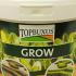TopBuxus Grow  cm buy online UK.